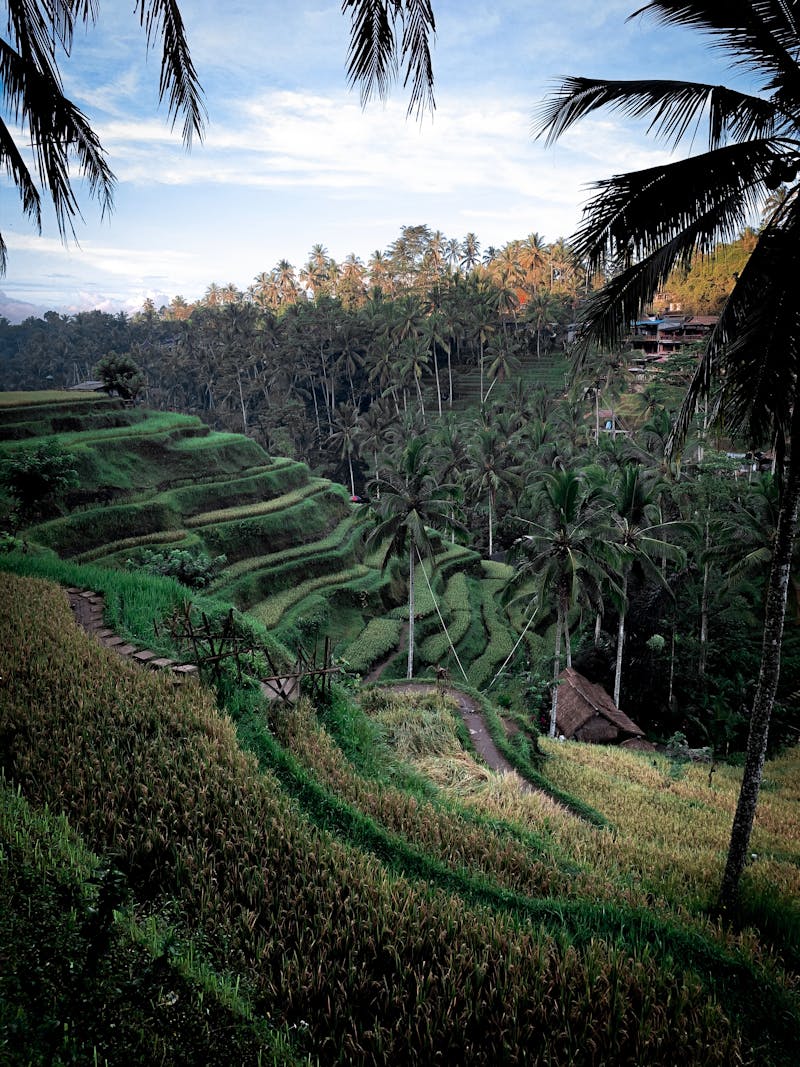 Bali on a Budget: 10 Nights for Under £800