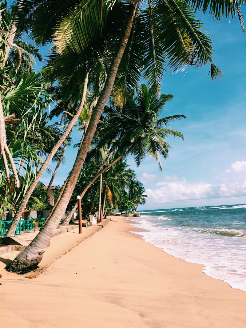 Best All-Inclusive Resorts in the Caribbean 2026
