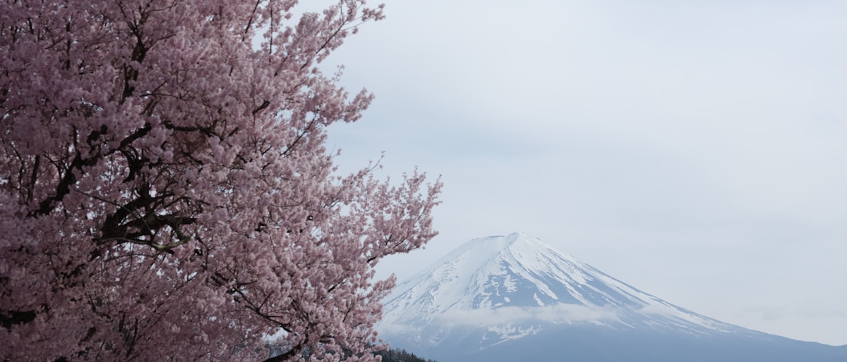 Japan 2026: The Ultimate UK Traveller's Guide