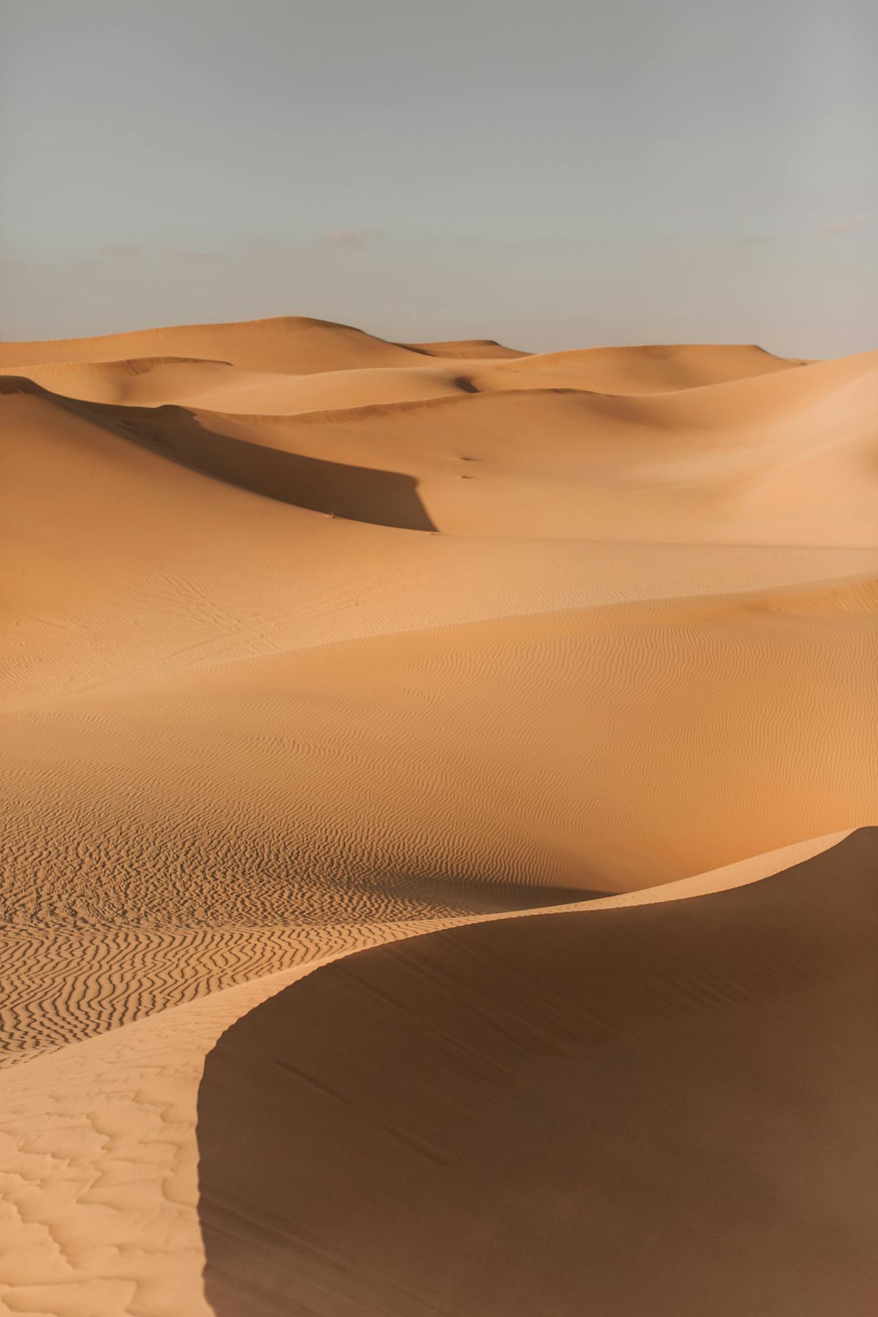 Desert Safari & Liwa Oasis