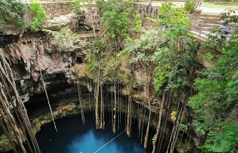 Cenote Swimming — Yucatán's Waters