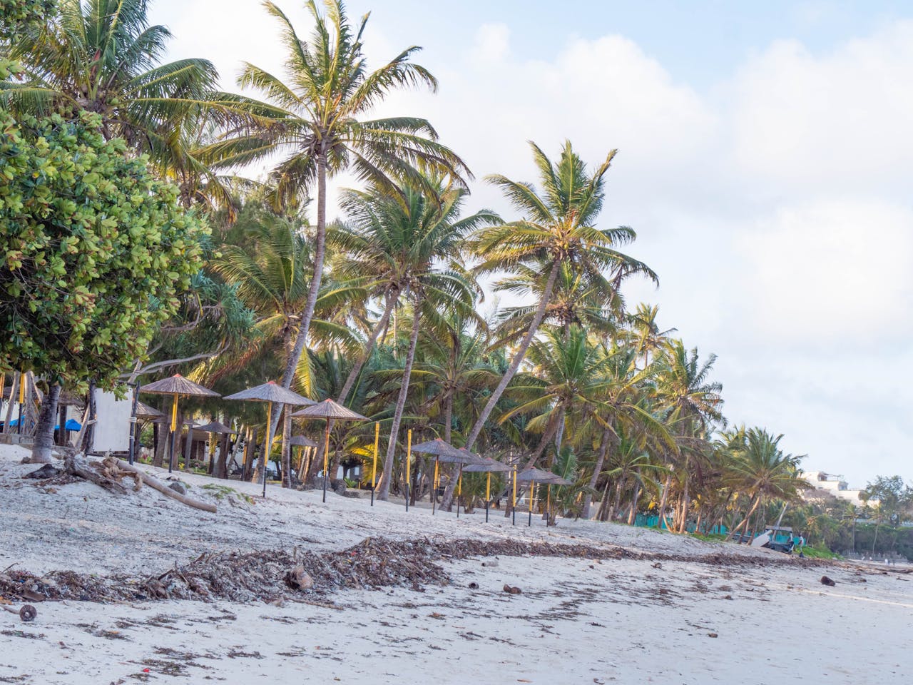 Kenyan Coast & Diani Beach