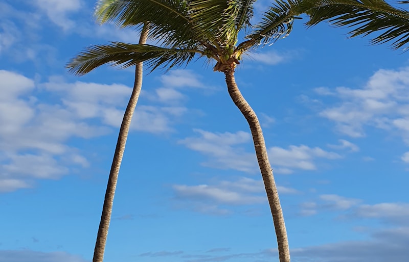 Dominican Republic — Punta Cana