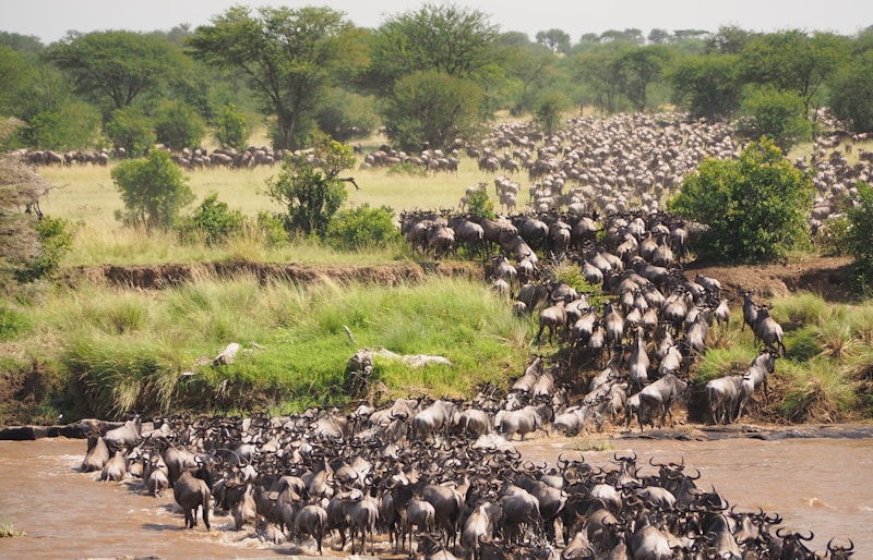 Serengeti National Park